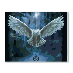 White Flying Owl-Paint by Numbers