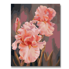 Pink Flowers-Paint by Numbers