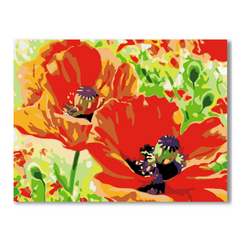 Poppy Orange Flowers-Paint by Numbers