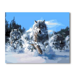 Wolves Hunting in the Snow-Paint by Numbers