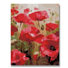 Red Poppies-Paint by Numbers