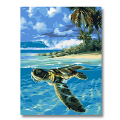 Sea Turtle-Paint by Numbers