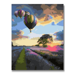 Hot Air Balloons and Flower Field-Paint by Numbers