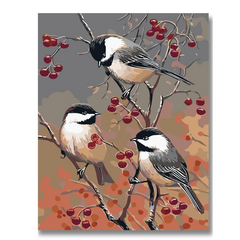 Birds On A Branch-Paint by Numbers