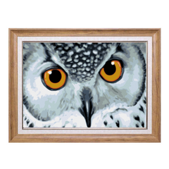 Owl with Yellow Eyes-Paint by Numbers