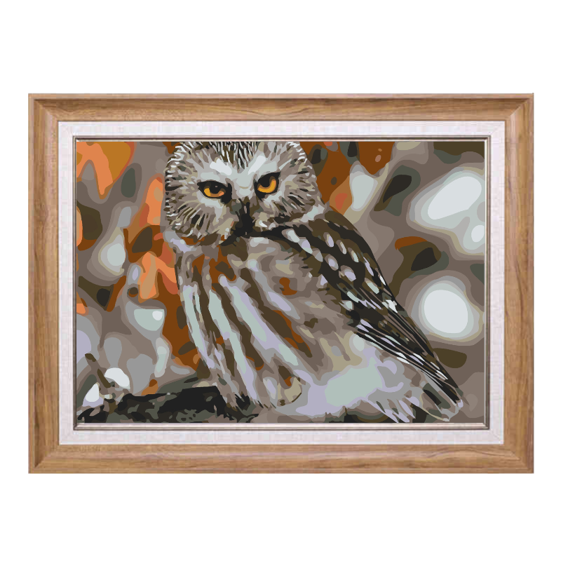 Boreal Owl-Paint by Numbers