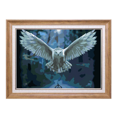 White Flying Owl-Paint by Numbers