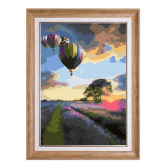 Hot Air Balloons and Flower Field-Paint by Numbers