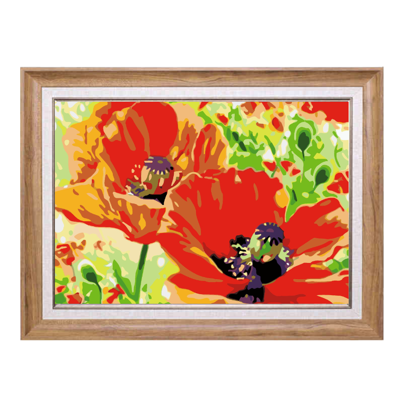 Poppy Orange Flowers-Paint by Numbers