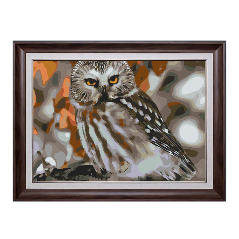 Boreal Owl-Paint by Numbers