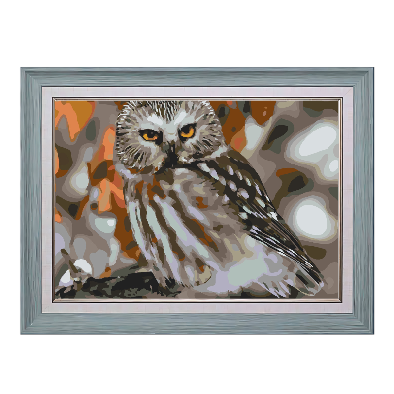 Boreal Owl-Paint by Numbers