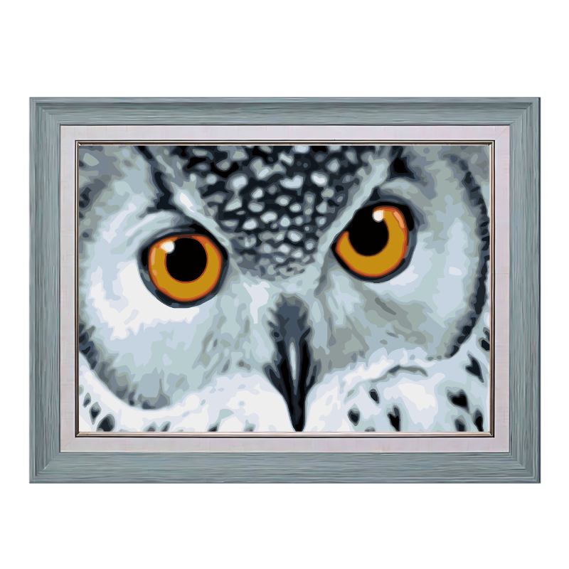 Owl with Yellow Eyes-Paint by Numbers