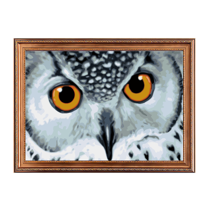 Owl with Yellow Eyes-Paint by Numbers