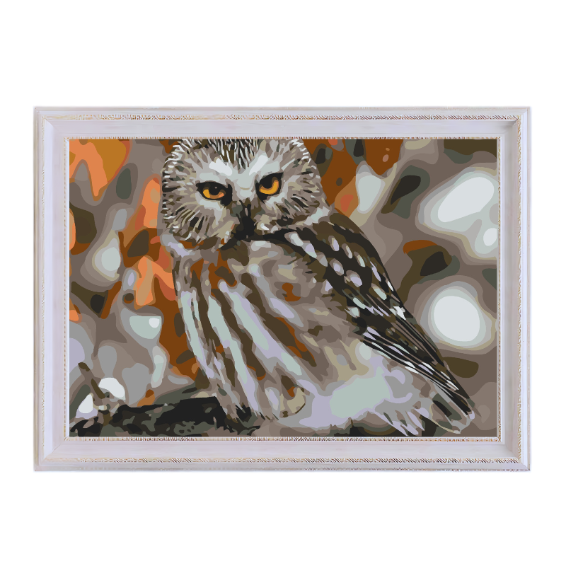 Boreal Owl-Paint by Numbers