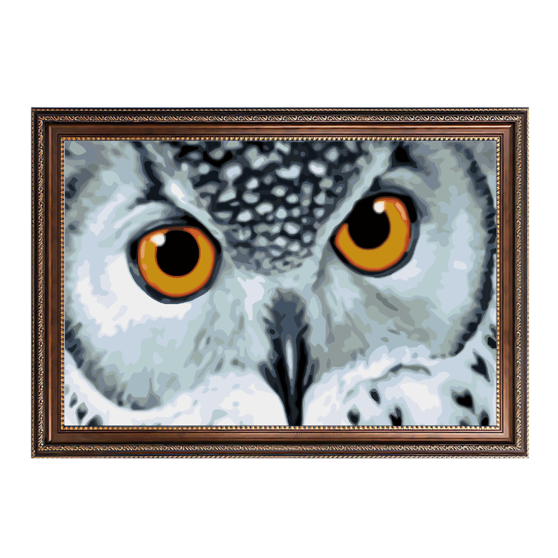 Owl with Yellow Eyes-Paint by Numbers