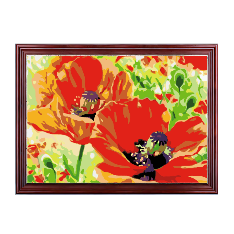 Poppy Orange Flowers-Paint by Numbers