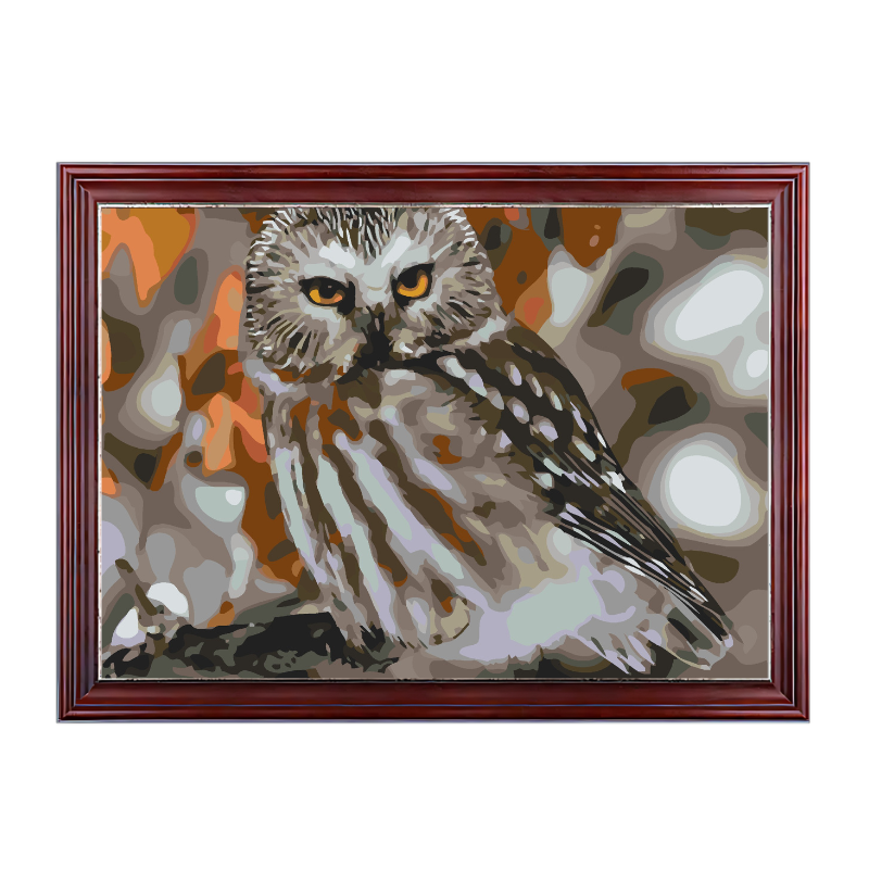 Boreal Owl-Paint by Numbers