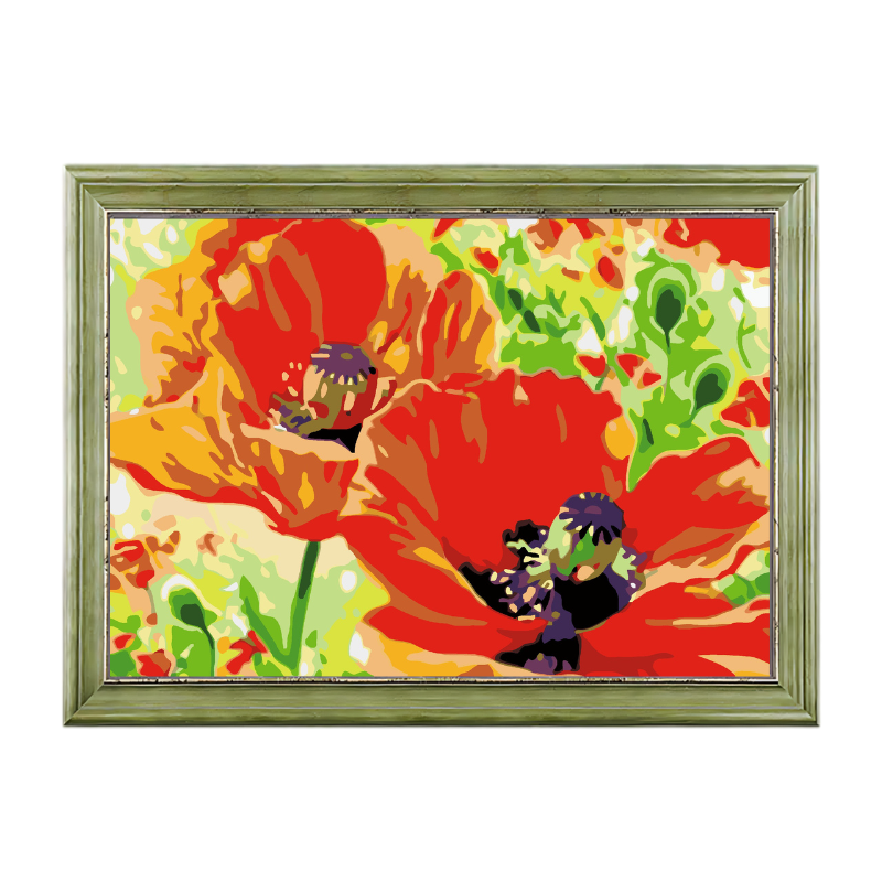 Poppy Orange Flowers-Paint by Numbers