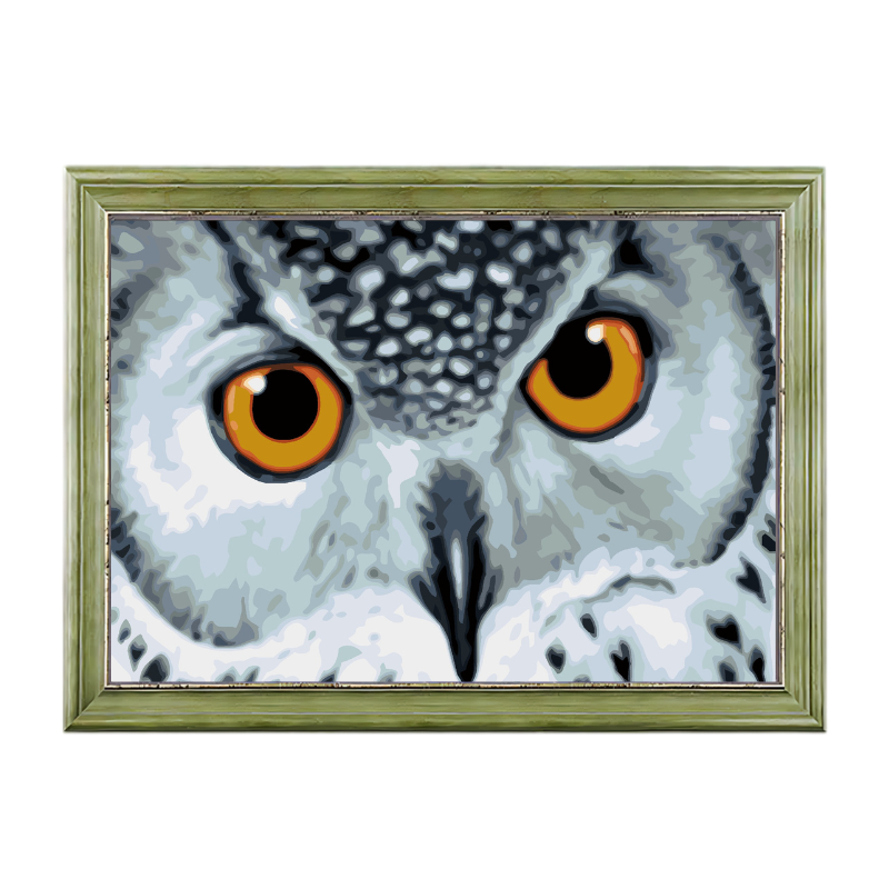 Owl with Yellow Eyes-Paint by Numbers