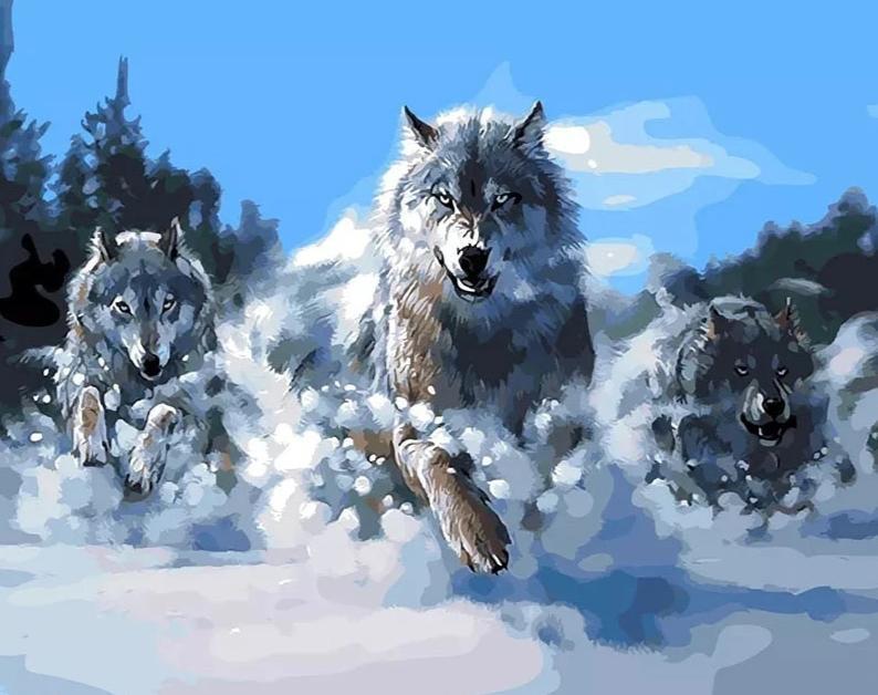 Wolves Hunting in the Snow-Paint by Numbers