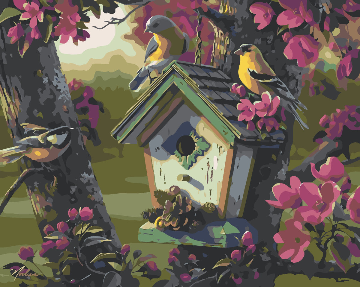 Birds House-Paint by Numbers