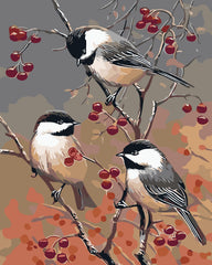 Birds On A Branch-Paint by Numbers