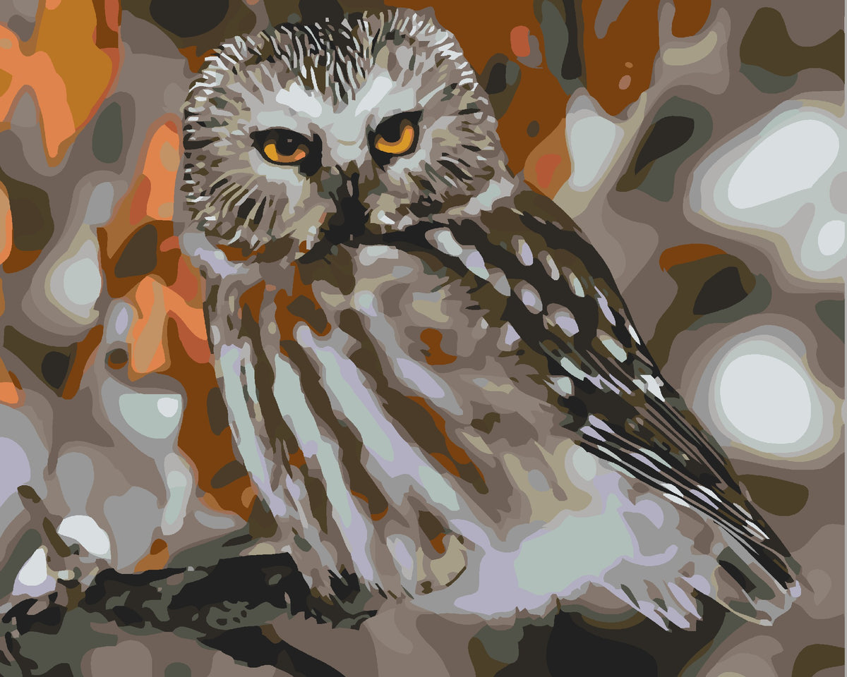 Boreal Owl-Paint by Numbers