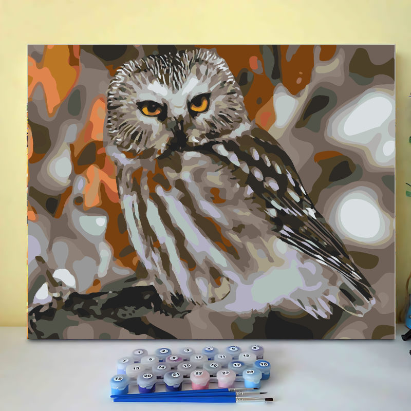 Boreal Owl-Paint by Numbers