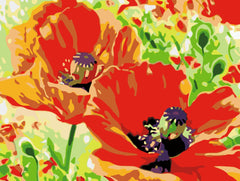 Poppy Orange Flowers-Paint by Numbers