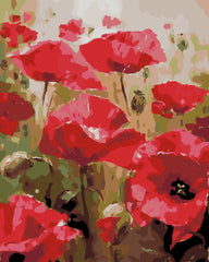 Red Poppies-Paint by Numbers