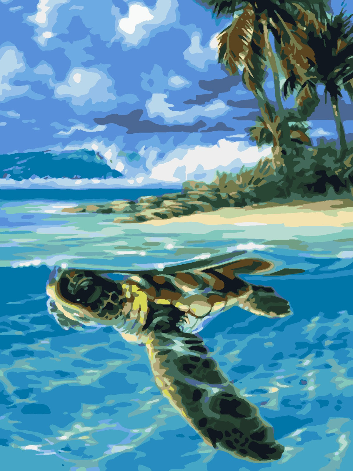 Sea Turtle-Paint by Numbers