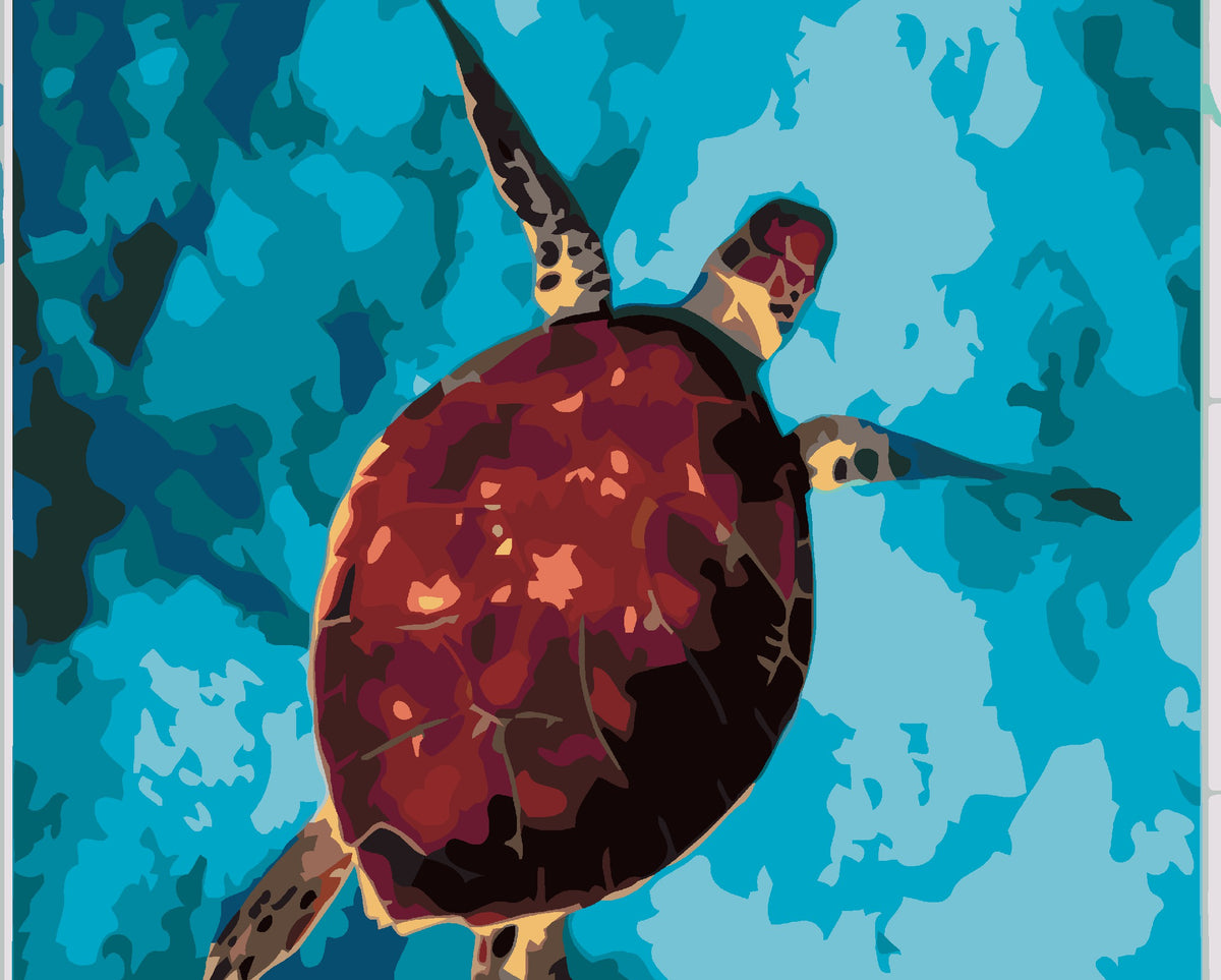 Turtle in the Sea-Paint by Numbers